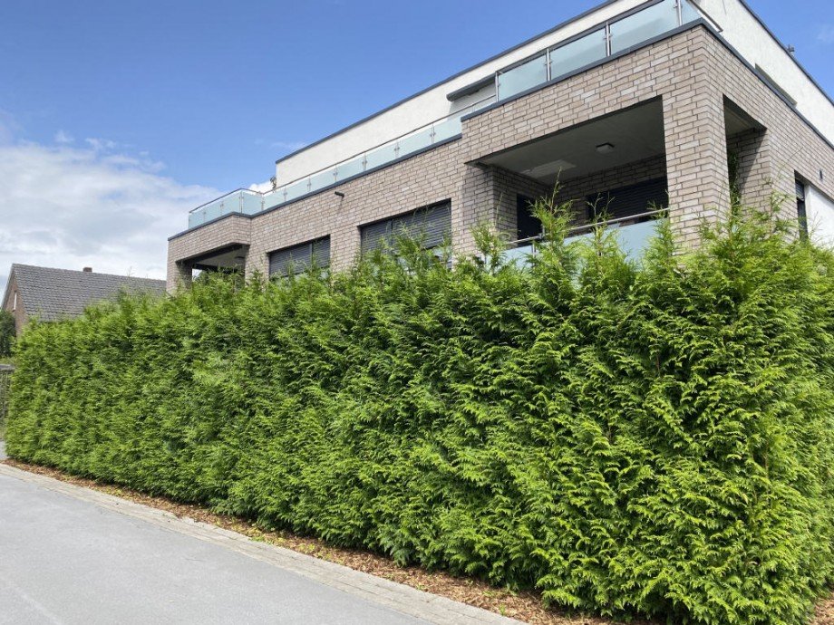 Bild20 Penthousewohnung Rheda-Wiedenbr�ck