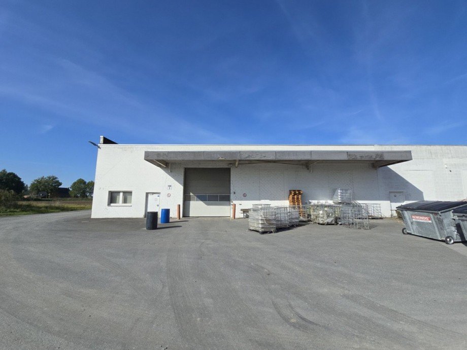  Halle Rietberg